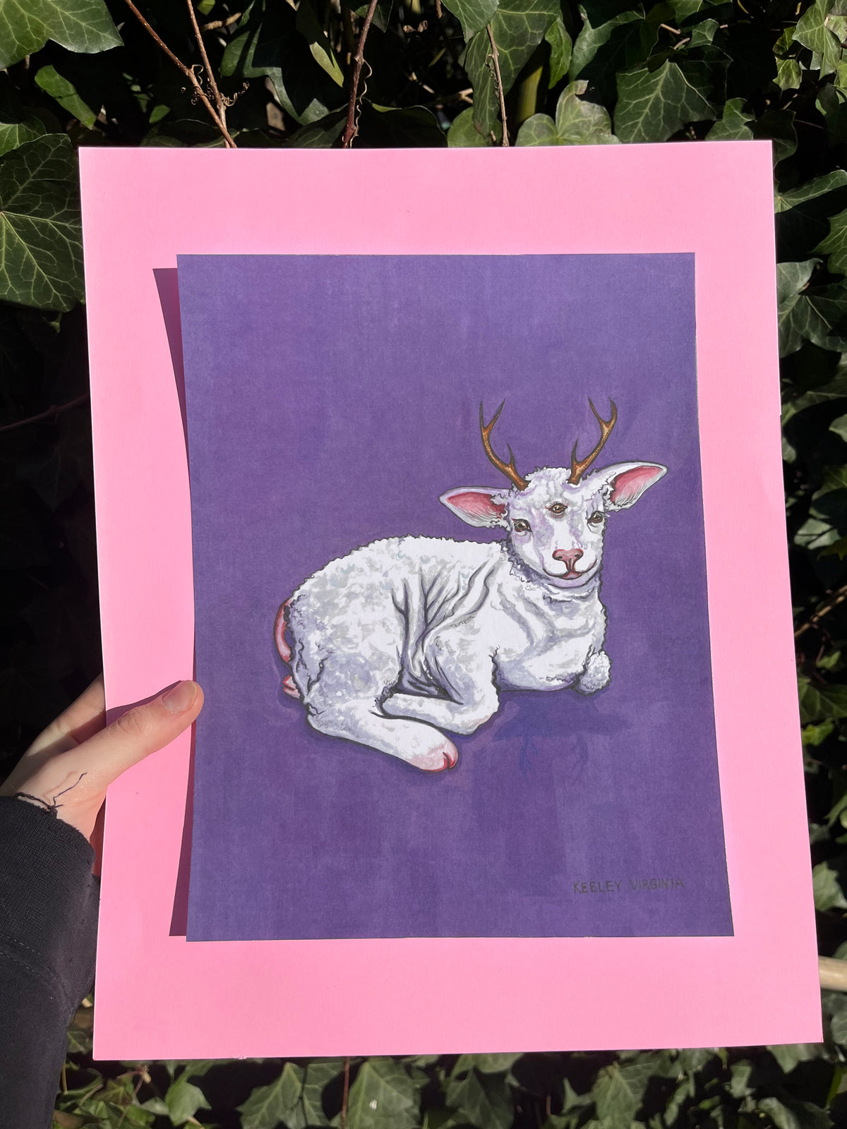 Lamb